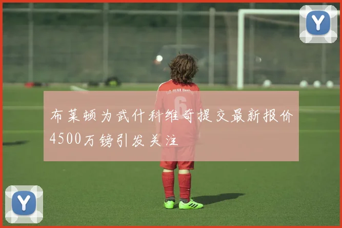 布莱顿为武什科维奇提交最新报价4500万镑引发关注